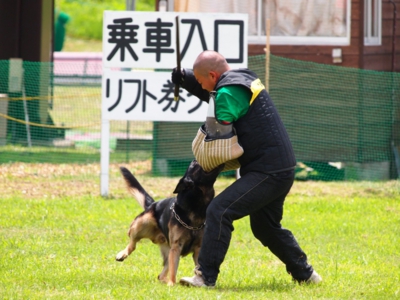下呂温泉の犬の何でも屋さんハッピーフラット