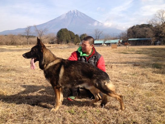 下呂温泉の犬の何でも屋さんハッピーフラット