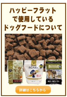 下呂温泉の犬の何でも屋さんハッピーフラットのドッグフード